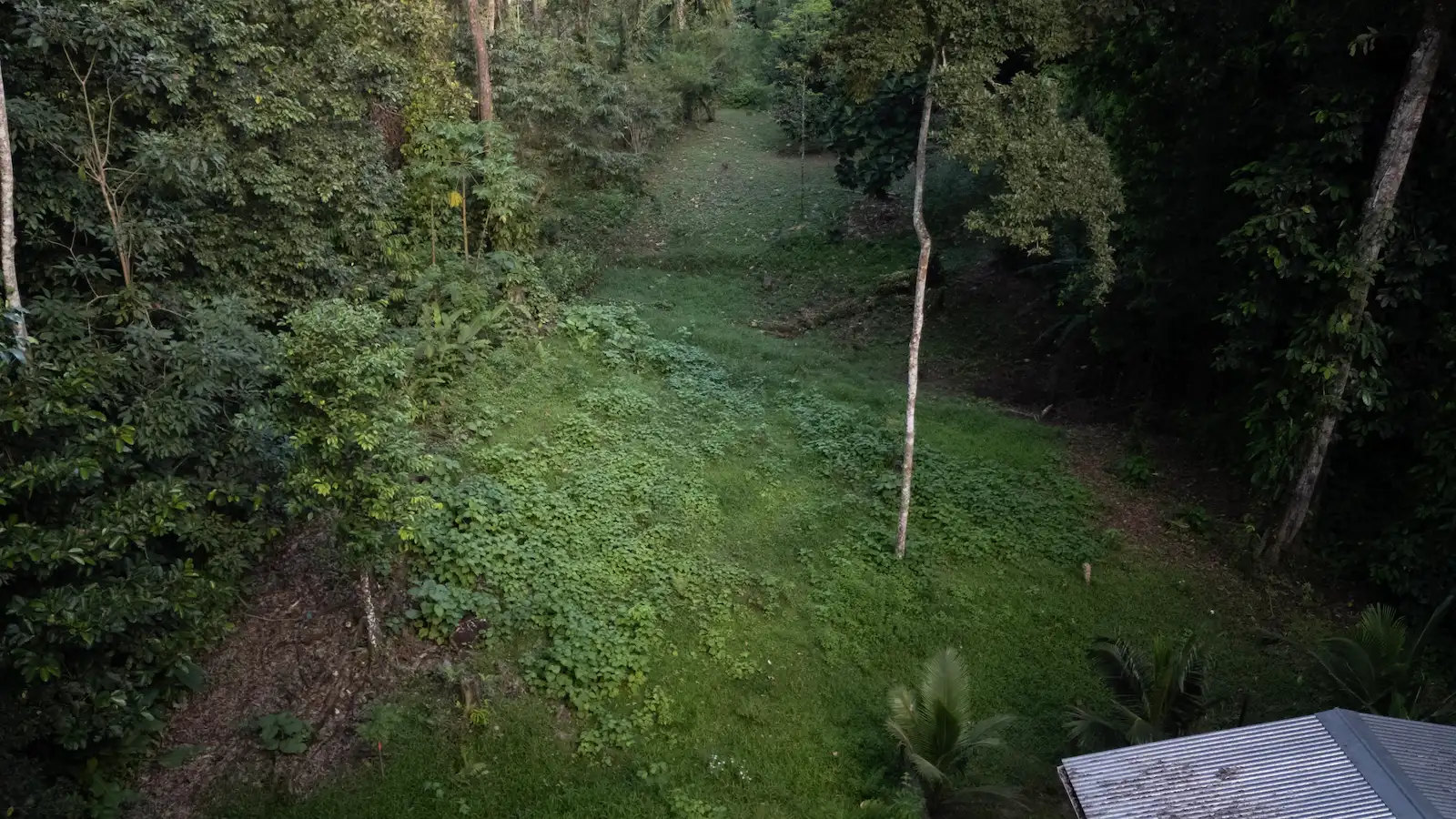 Near the street property in Bocas del Drago - Colon Island with a small slope