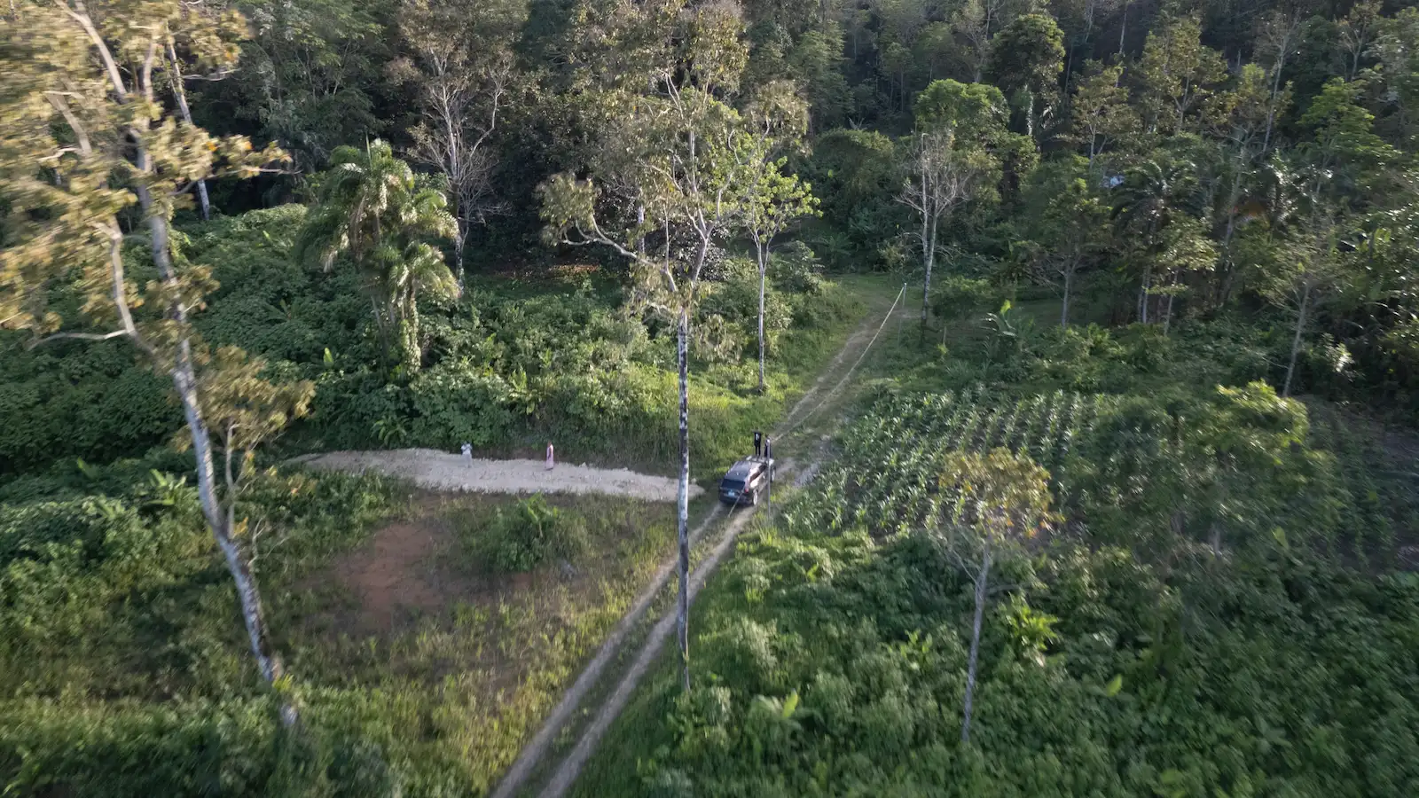 Productive Small cornfield with a lot of potential in Bocas del Drago